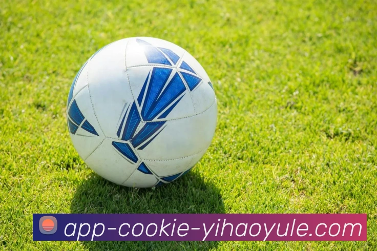 壹号娱乐APPAPP 封面图